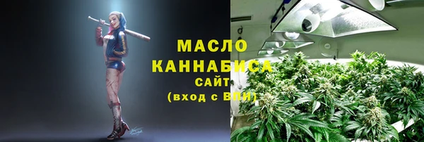 дживик Абаза