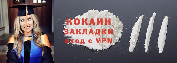 дживик Абаза