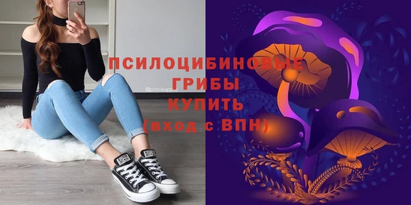 дживик Абаза